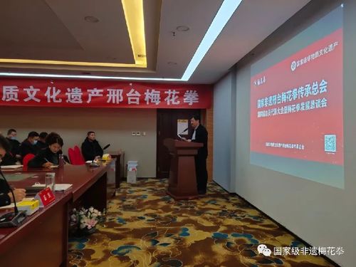 邢臺(tái)梅花拳發(fā)展懇談會(huì) 傳承武術(shù)文化，共謀發(fā)展新篇